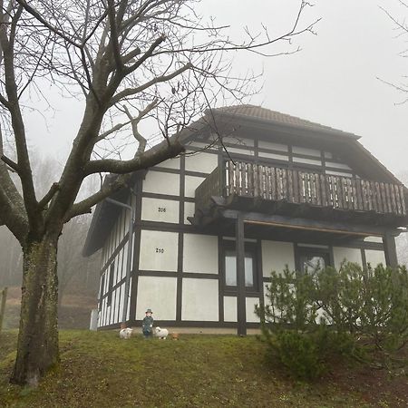 Ferienwohnung Lix Direkt Am Waldrand Frankenau Exteriör bild