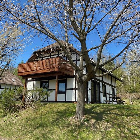 Ferienwohnung Lix Direkt Am Waldrand Frankenau Exteriör bild