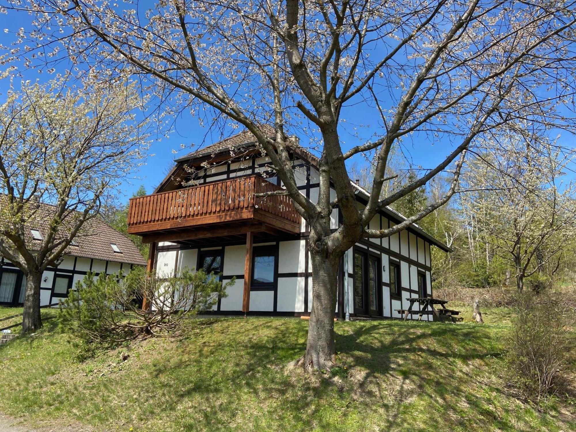 Ferienwohnung Lix Direkt Am Waldrand Frankenau Exteriör bild